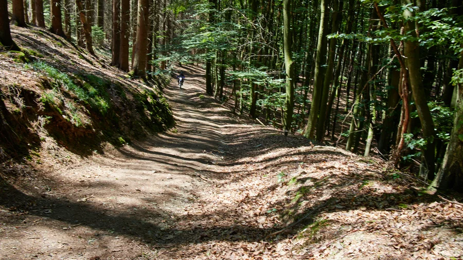 Wiedtal