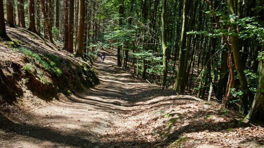Erlebnisschleife Basaltbogen