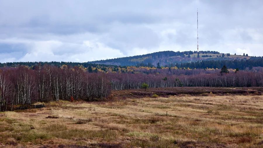 Rotes Moor