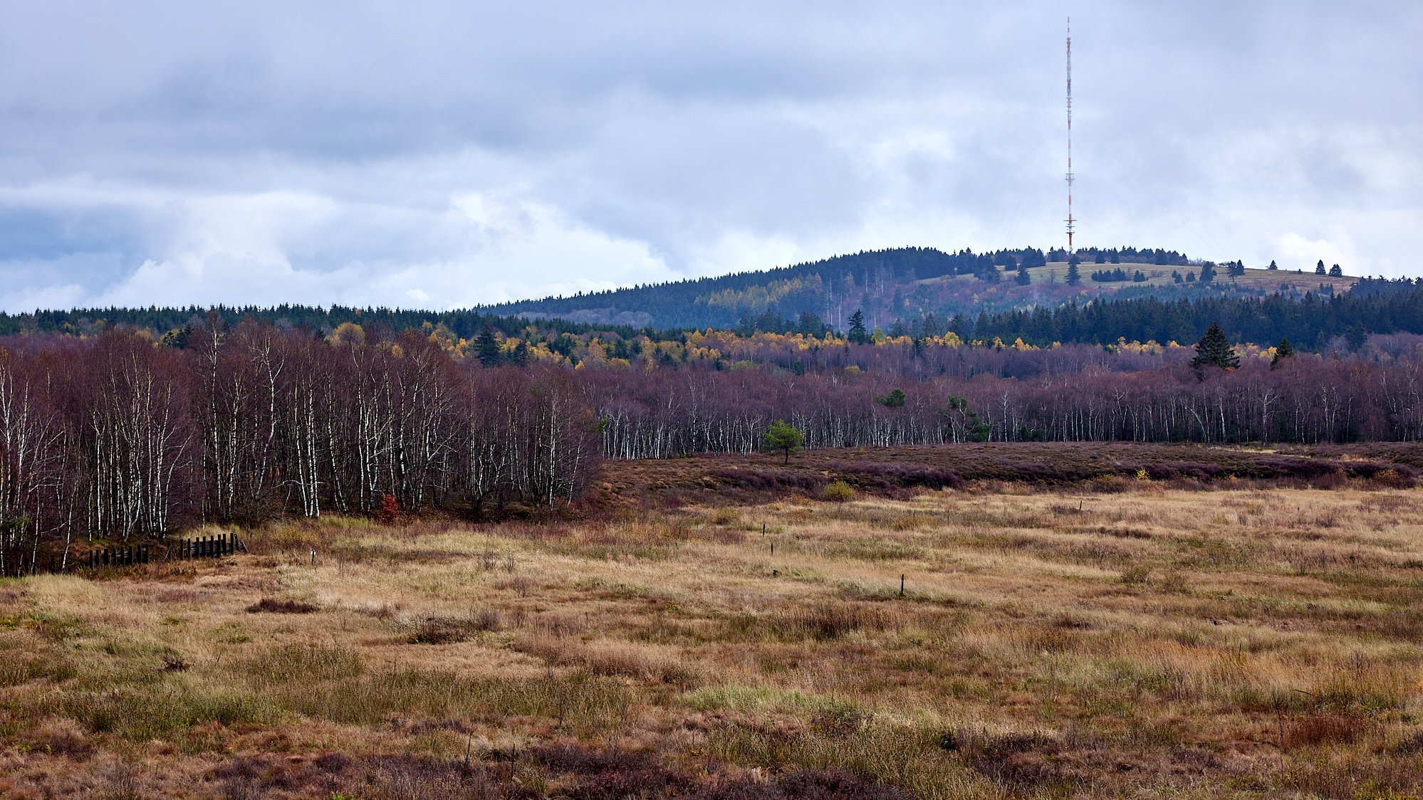Rotes Moor