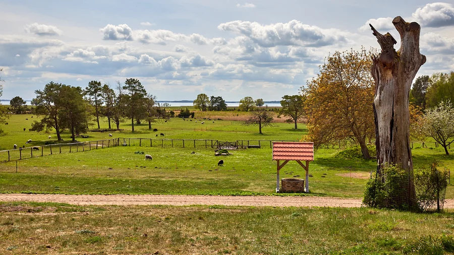 Nationalpark Müritz