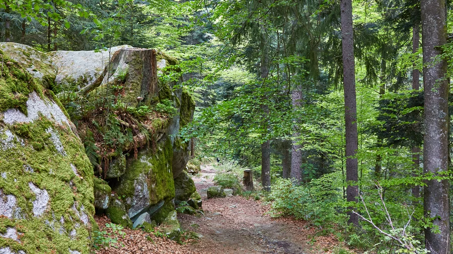 Trieberger Wasserfälle