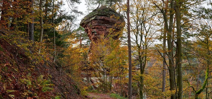 Hauensteiner Schusterpfad
