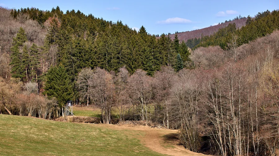 EifelSchleife Durchs Auelbachtal