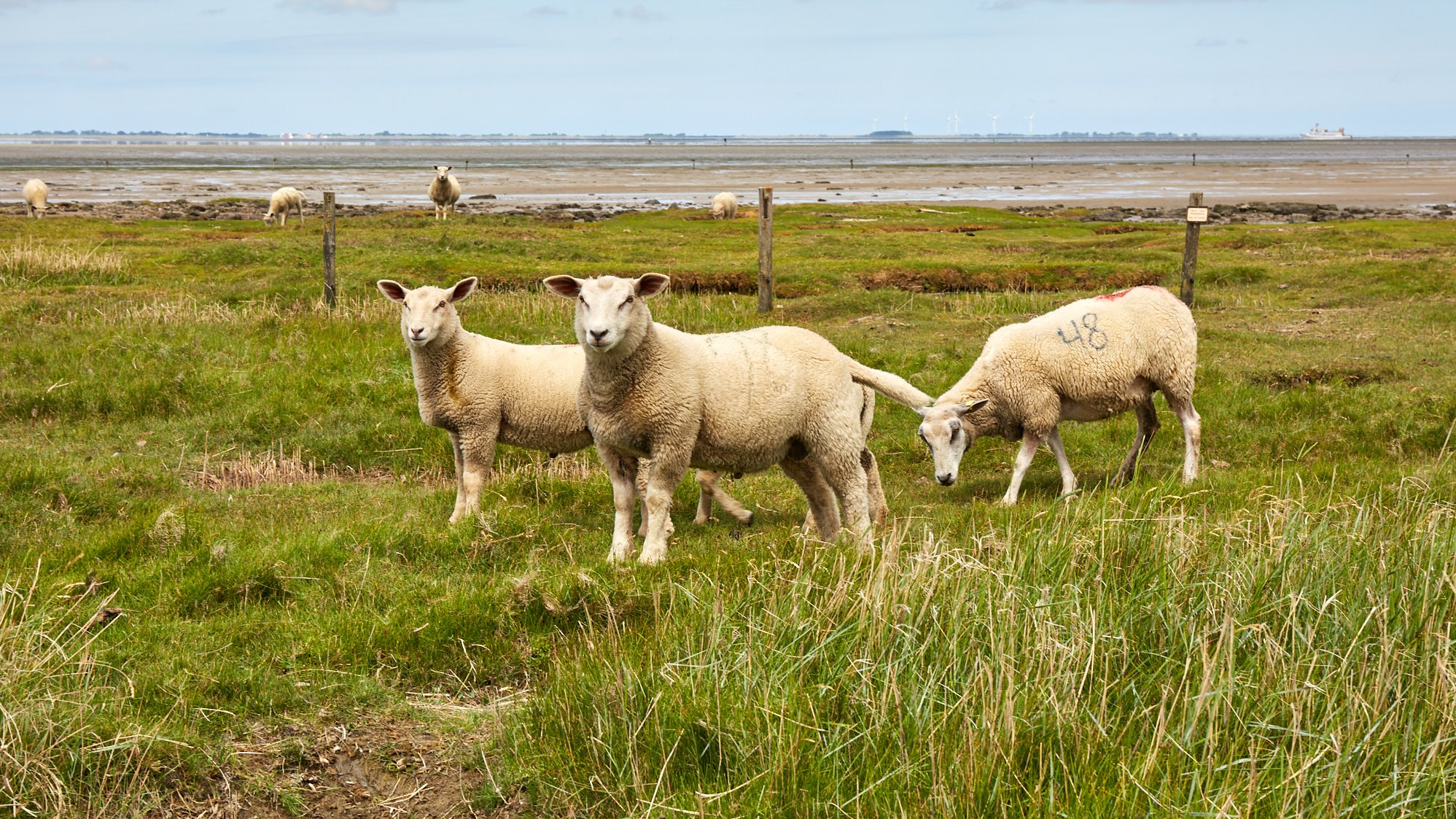 Nordfriesland