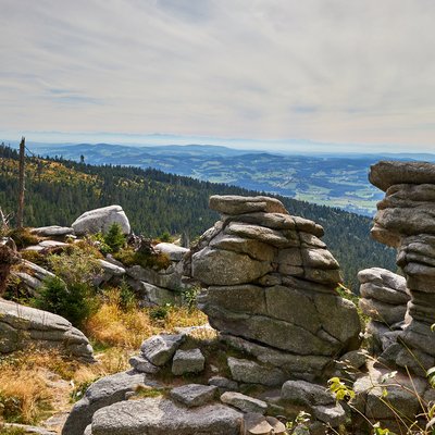Bayerischer Wald