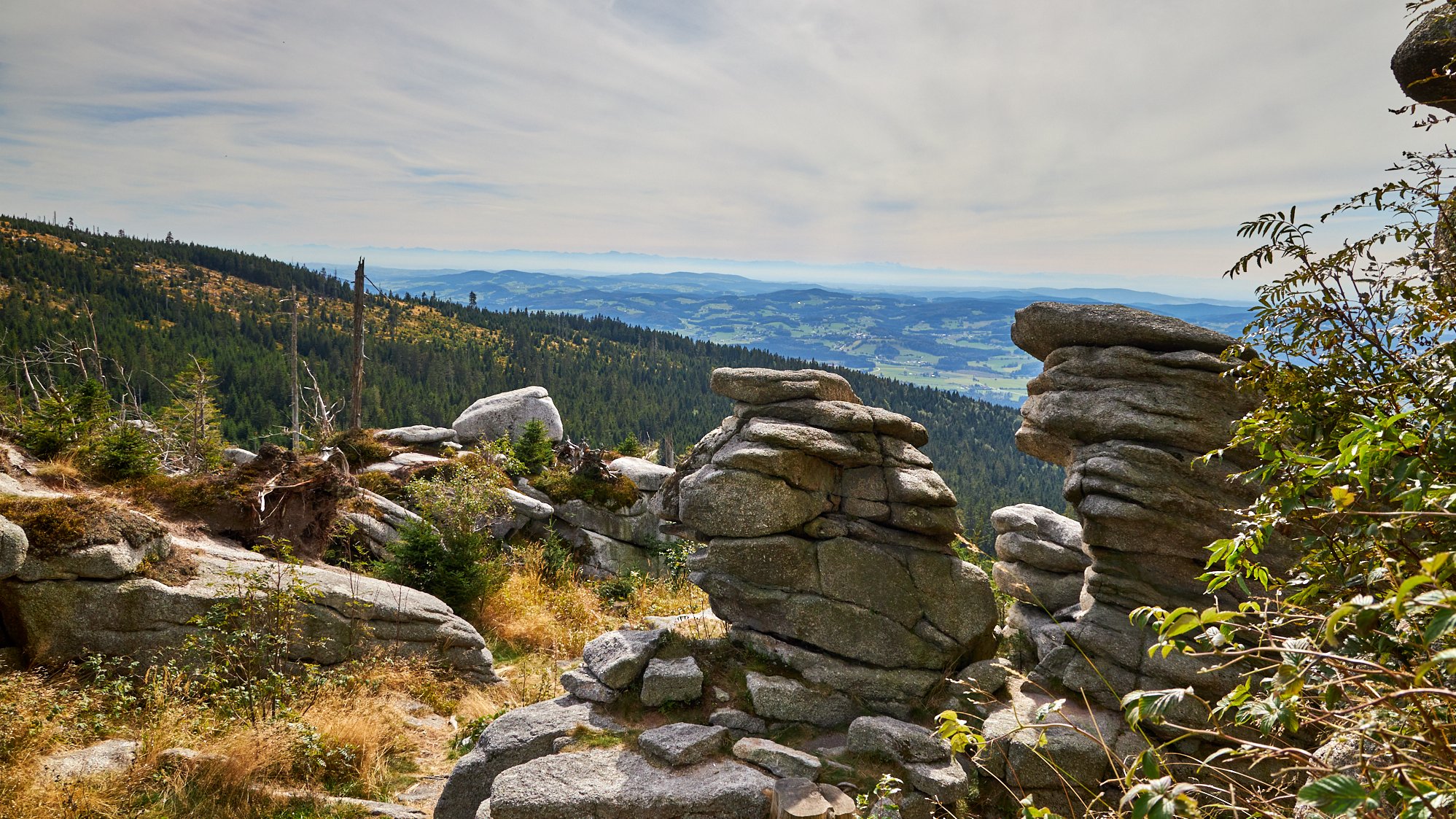 Bayerischer Wald