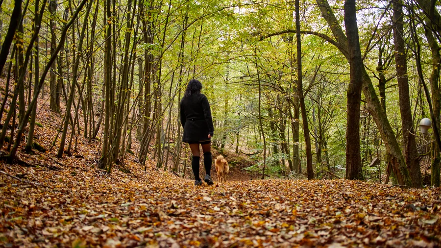 Nationalpark Kellerwald-Edersee - Bloßenberg Route