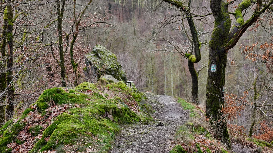 Brexbachschlucht