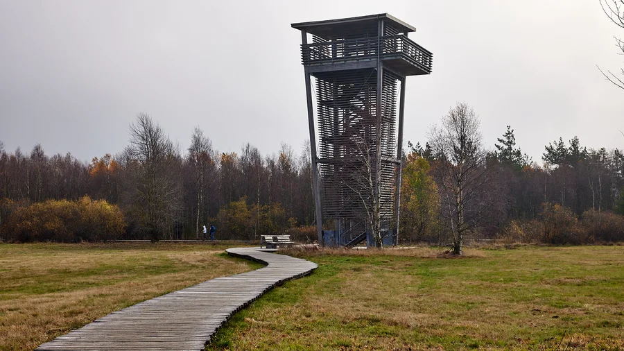 Schwarzes Moor