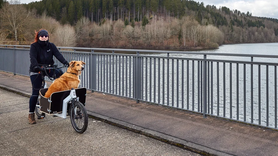 EifelSchleife Um die Oleftalsperre
