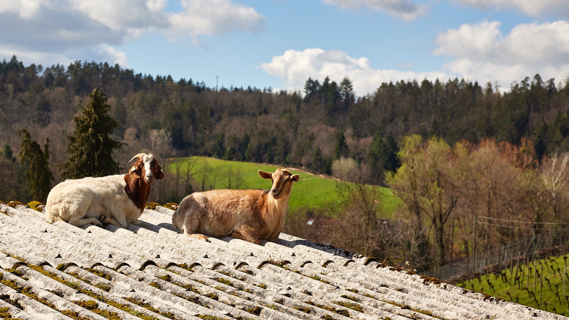Alde Gott Panoramaweg