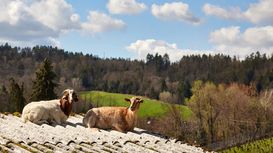 Alde Gott Panoramaweg
