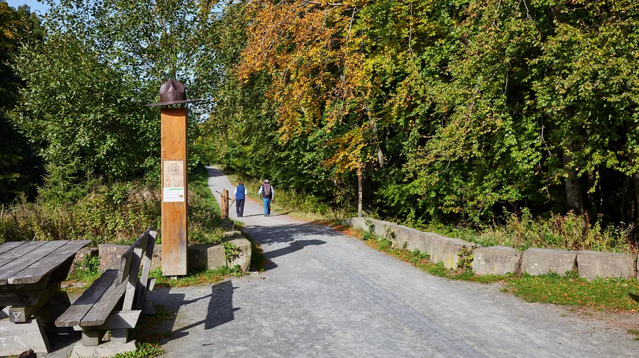 Der Wildnistrail im Nationalpark Eifel