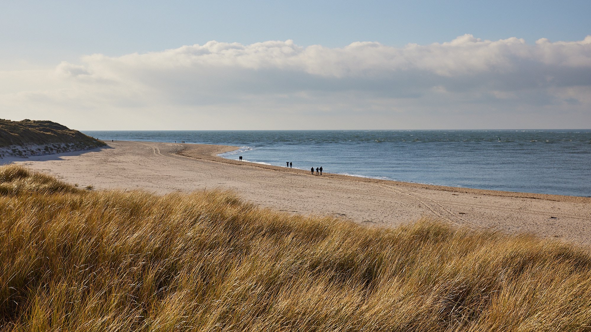Sylt - Ellenbogen