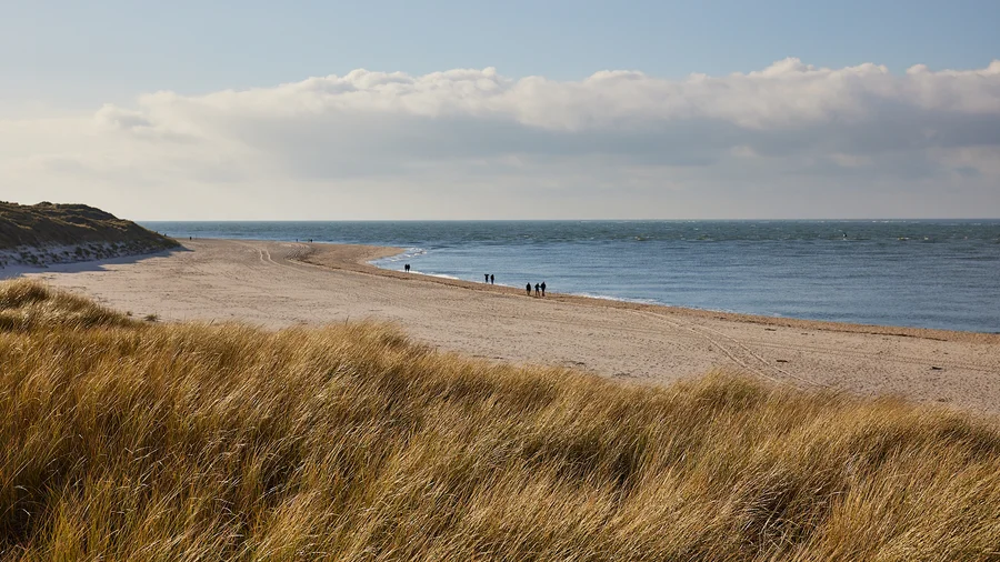Sylt - Ellenbogen