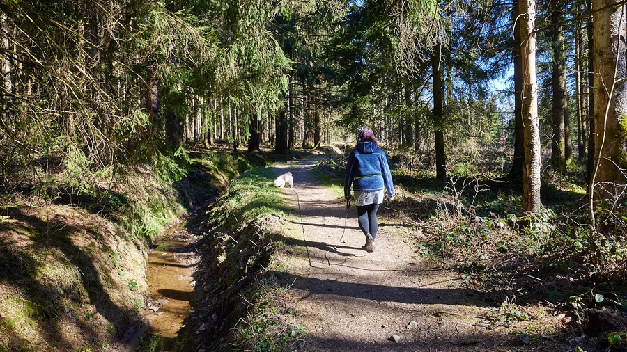 Zellerfelder Kunstgraben
