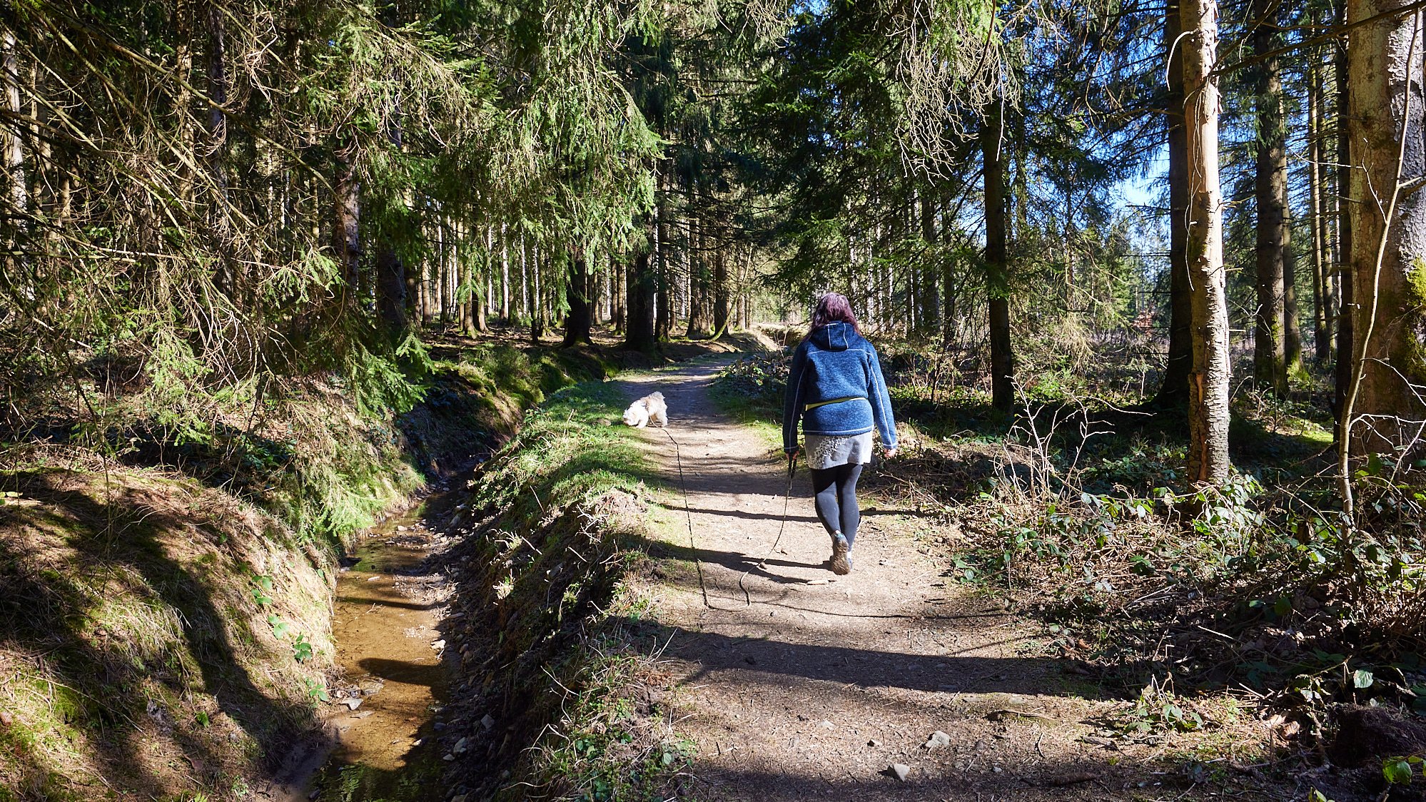 Zellerfelder Kunstgraben