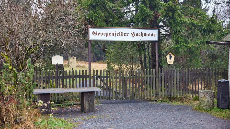 Georgenfelder Hochmoor