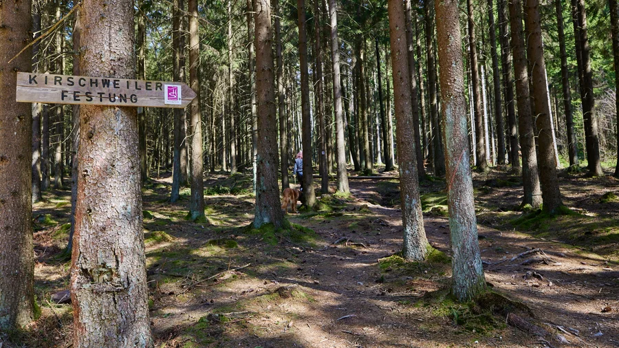 Kirschweiler Festung