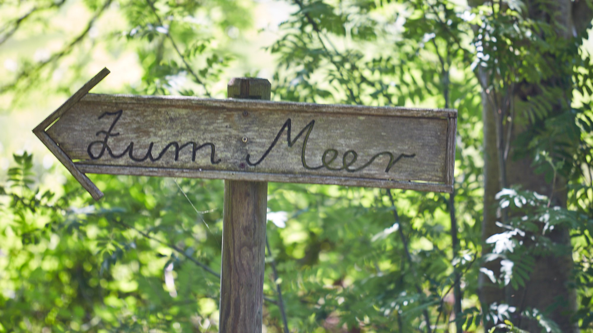 Am Ewigen Meer