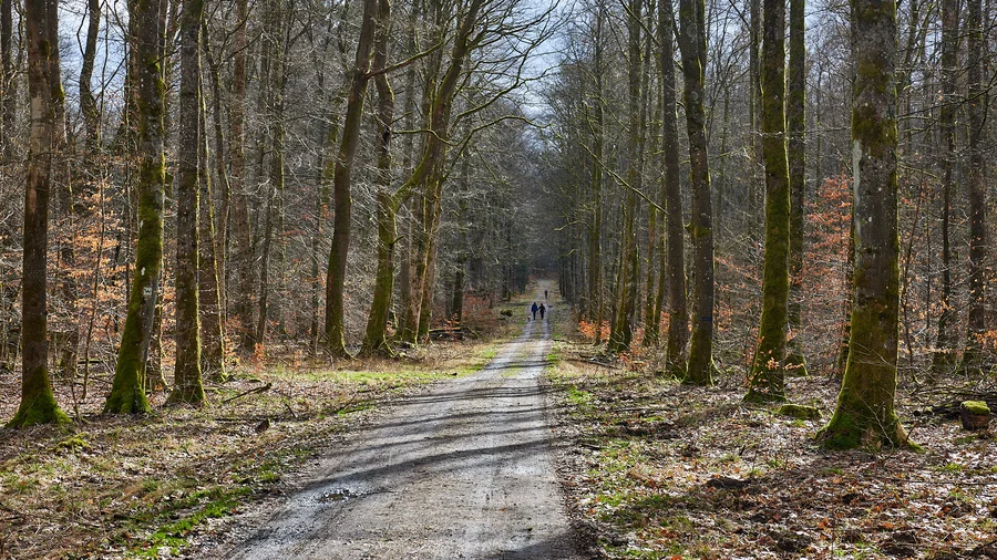 7-Weiher-Weg
