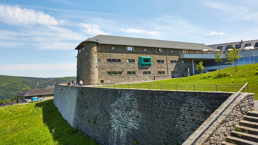 Vogelsang IP