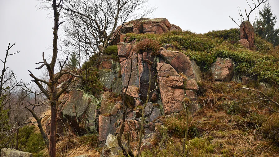 Georgenfelder Hochmoor