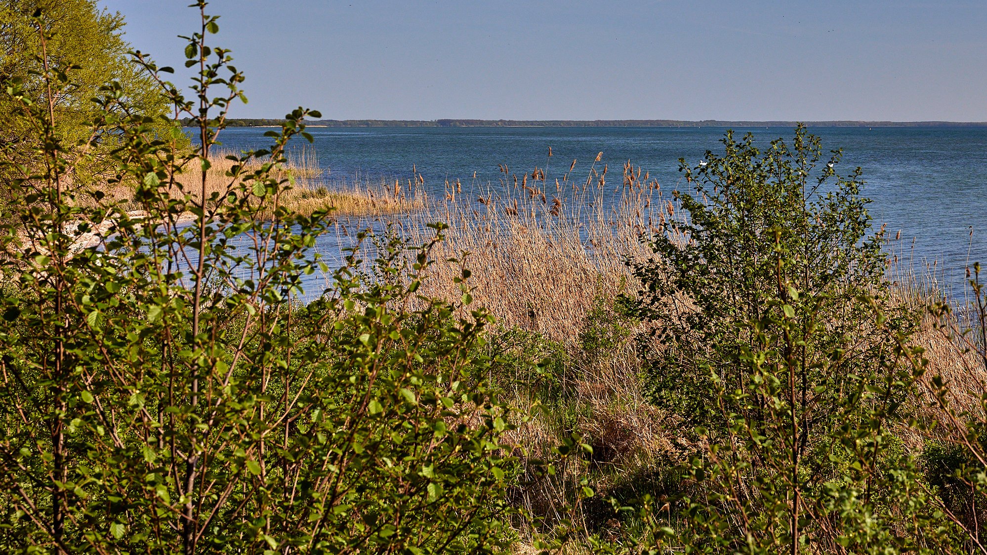Schnakenburg - Nationalpark Müritz