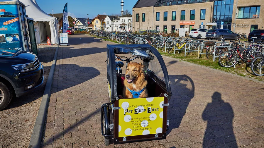 Sylt - Tour zum Ellenbogen