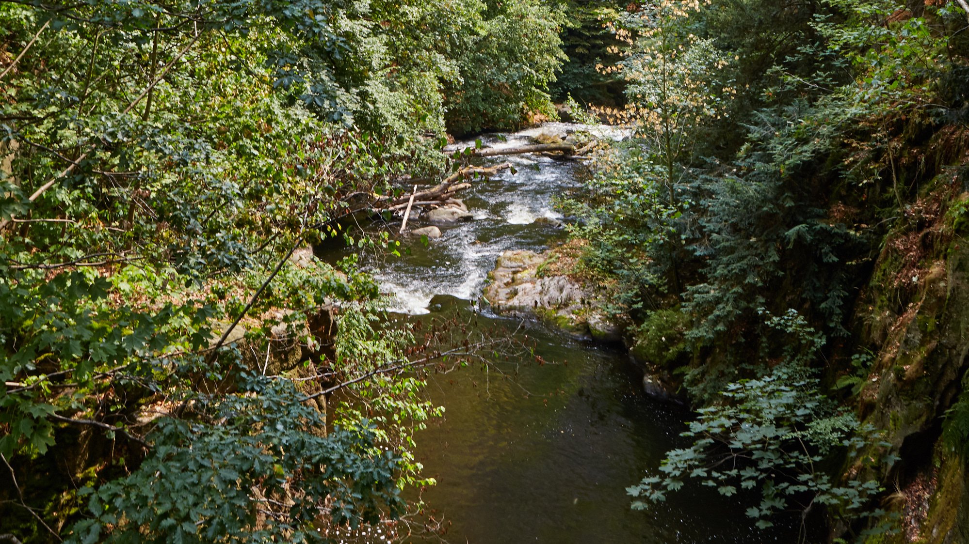 Rundwanderweg durch das Bodetal