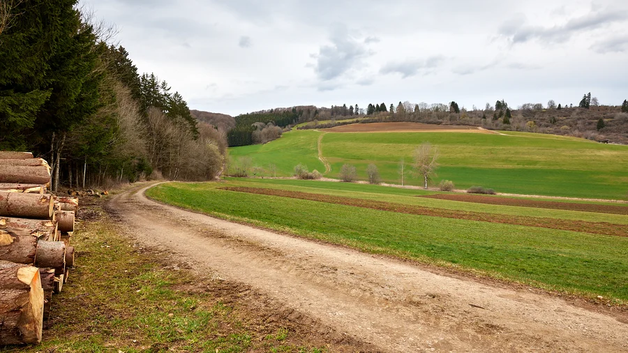 Himmelberg Runde Bad Dürrheim