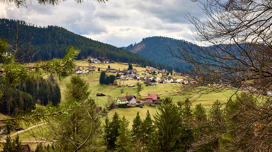Baiersbronn Satteleisteig