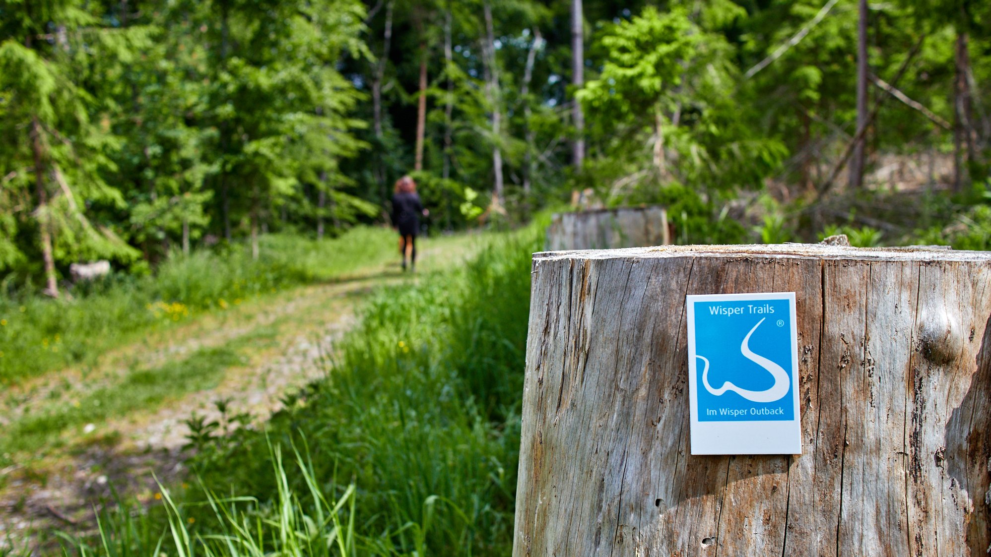 Wisper Trails
