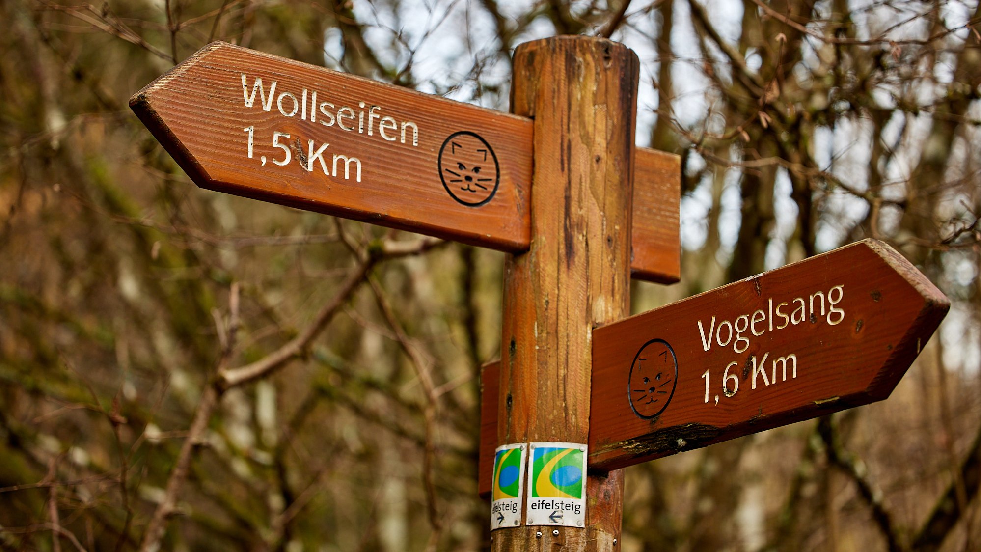 Wanderung um den Urftsee