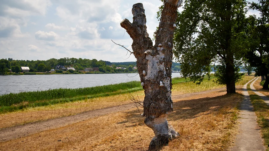 Entlang der Oder