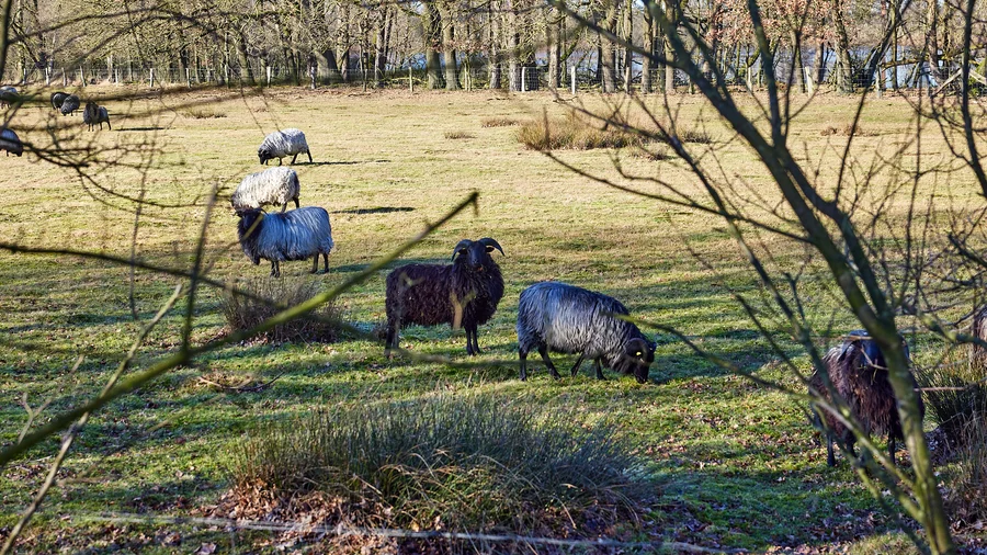 TeutoSchleife Heiliges Meer