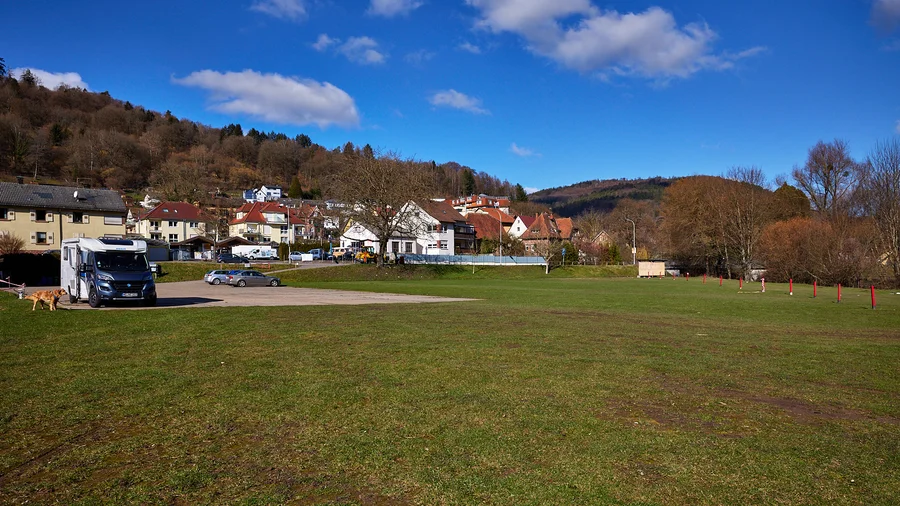 Hirschhorn
