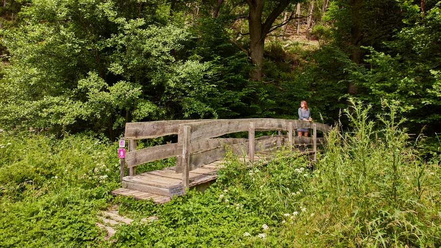 Soonwaldschleife