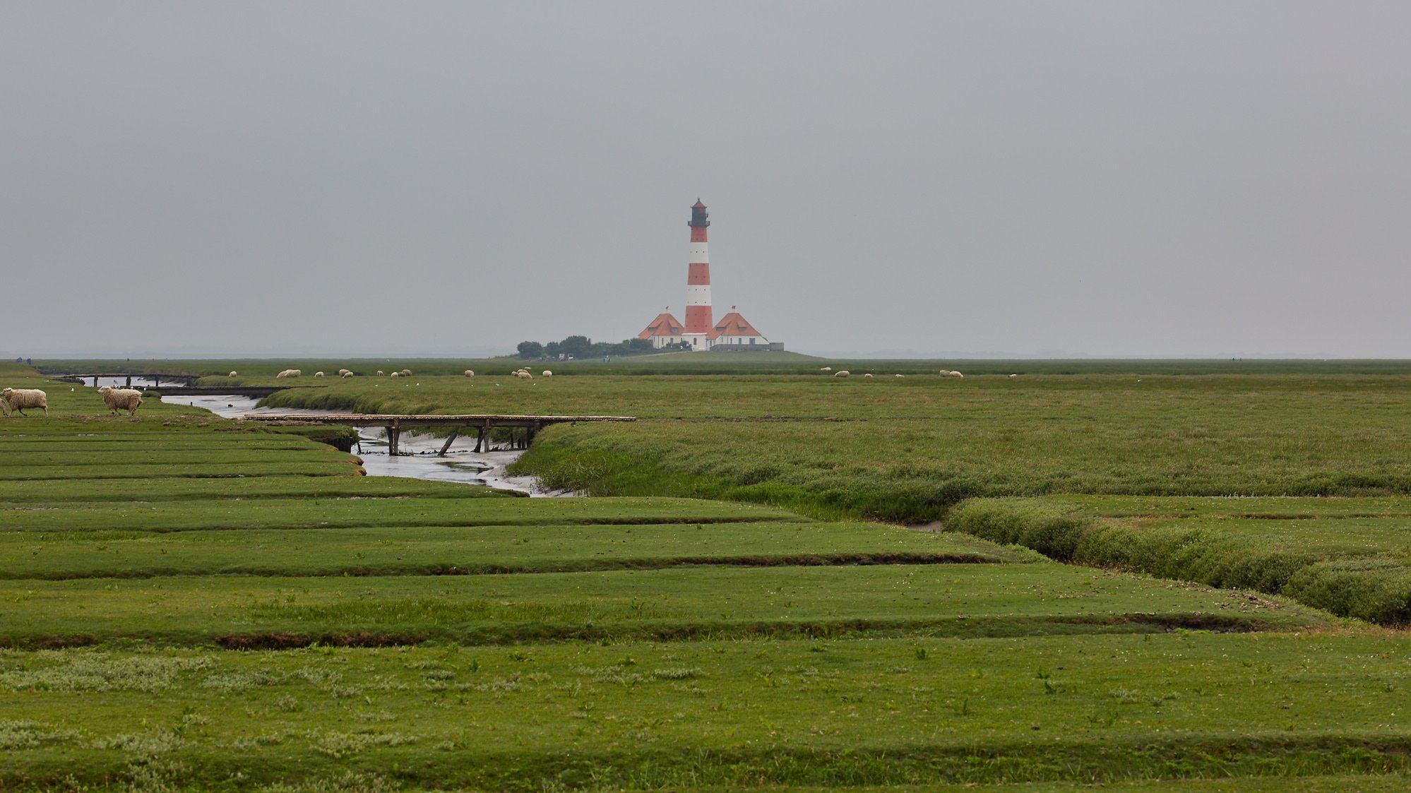 Westerhever