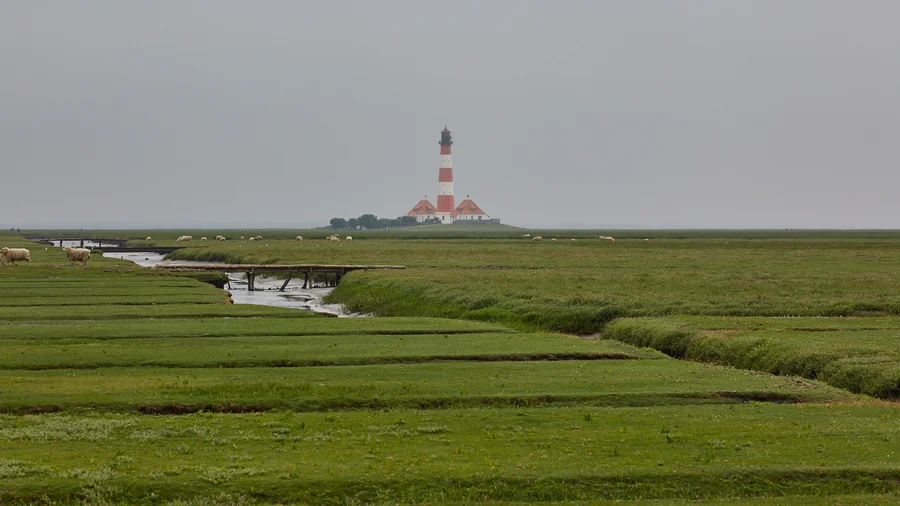 Westerhever