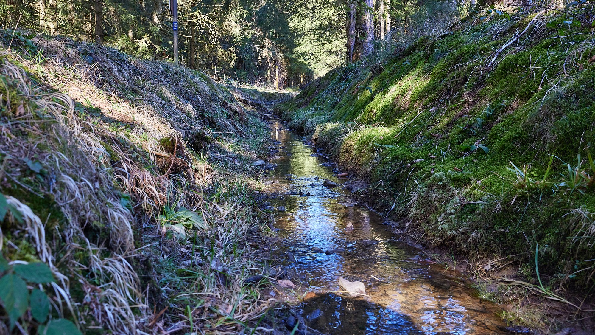 Zellerfelder Kunstgraben