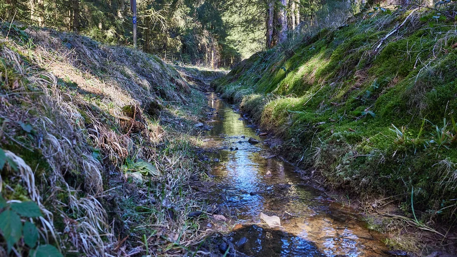 Zellerfelder Kunstgraben