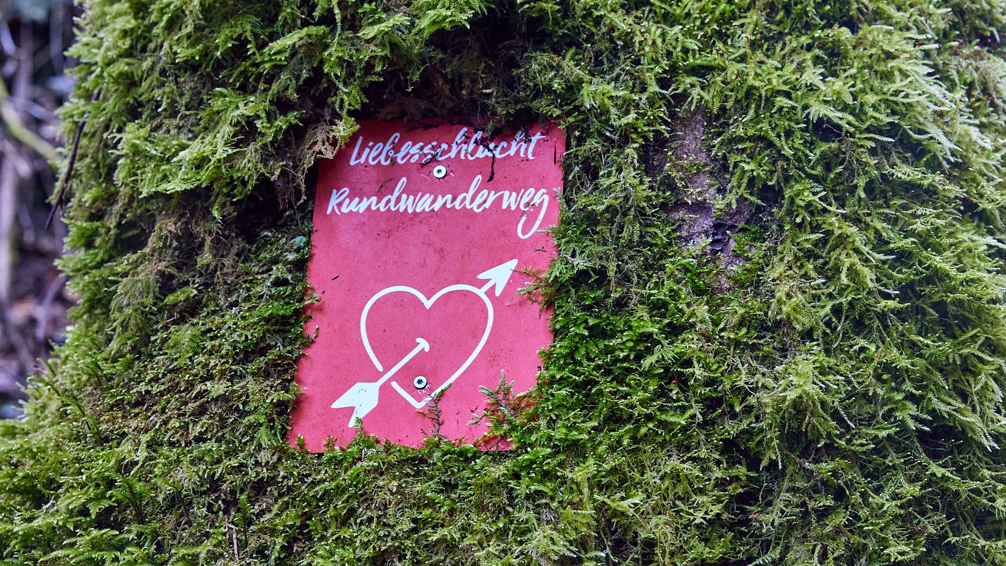 Liebesschlucht Zell/Mosel