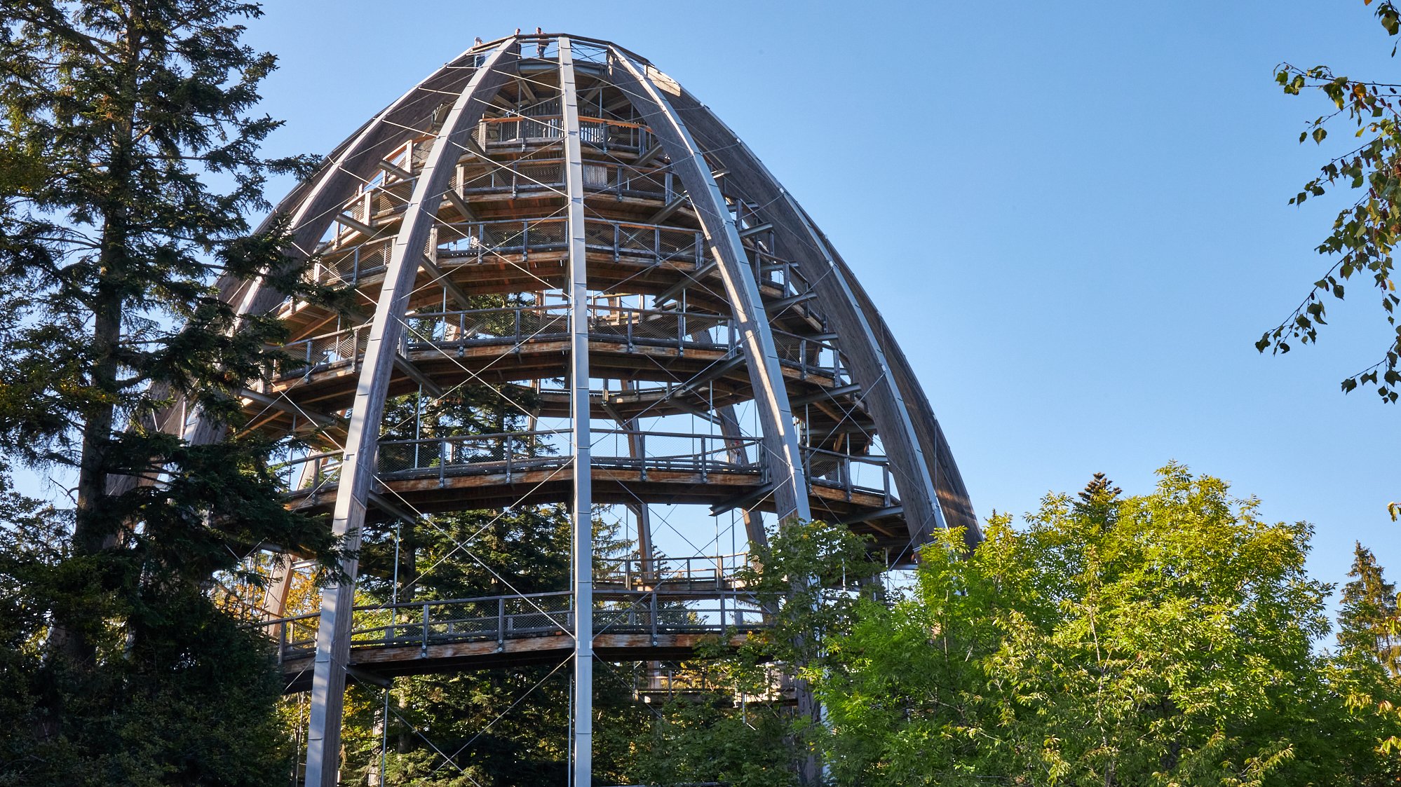 Nationalparkzentrum Lusen