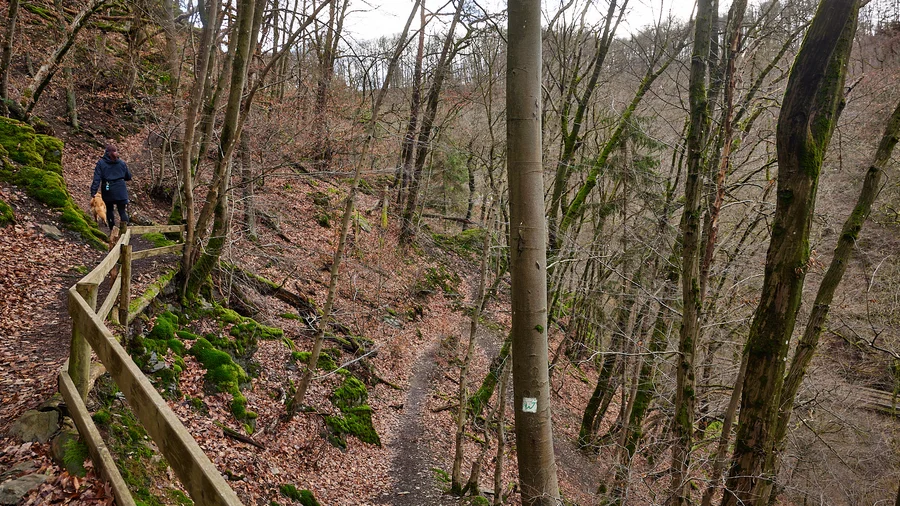 Brexbachschlucht