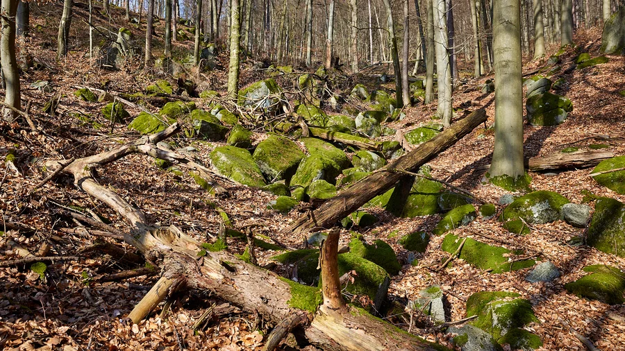 Felsenmeer Odenwald