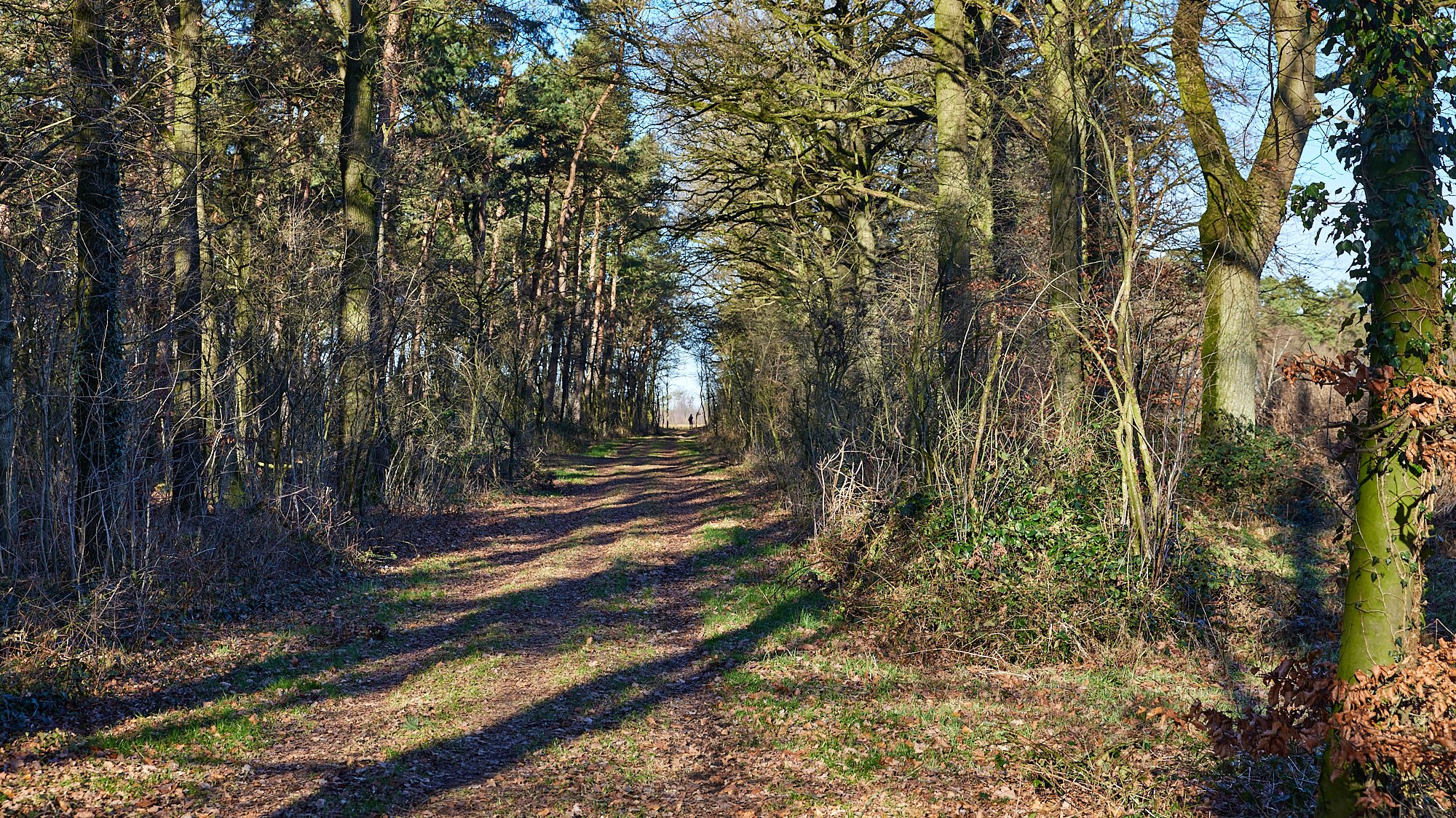 TeutoSchleife Heiliges Meer