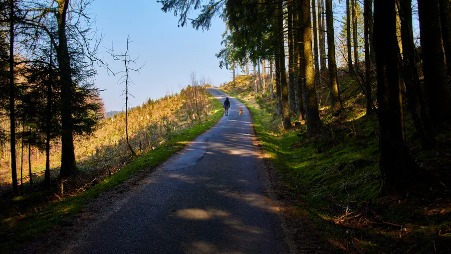 Eisvogelwanderweg