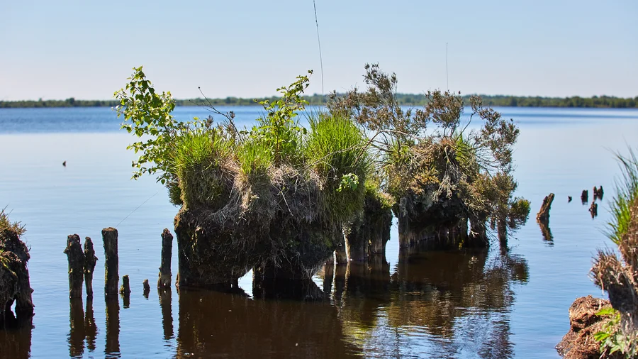 Am Ewigen Meer